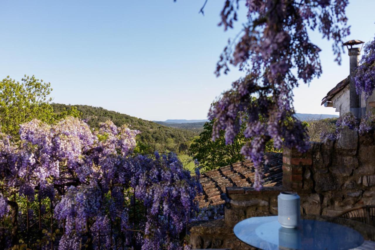 La Vieille Maison - Halte Gourmande Durfort-et-Saint-Martin-de-Sossenac Esterno foto