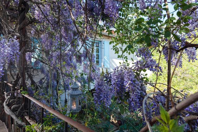 La Vieille Maison - Halte Gourmande Durfort-et-Saint-Martin-de-Sossenac Esterno foto