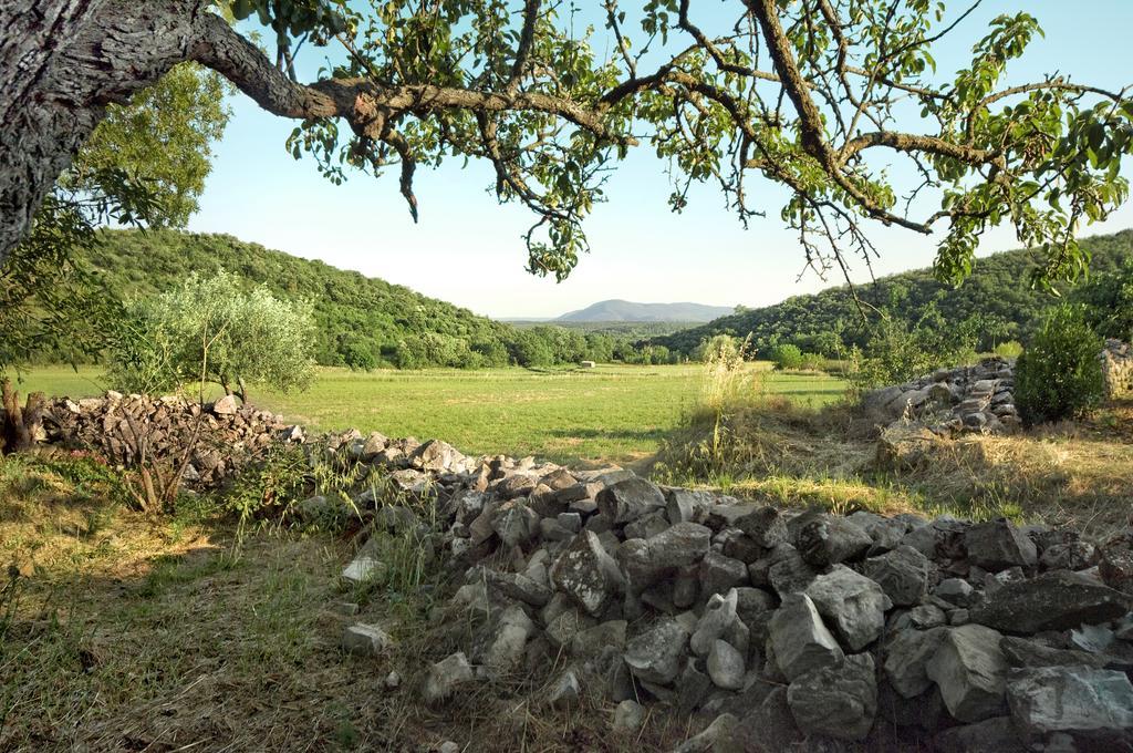 La Vieille Maison - Halte Gourmande Durfort-et-Saint-Martin-de-Sossenac Esterno foto